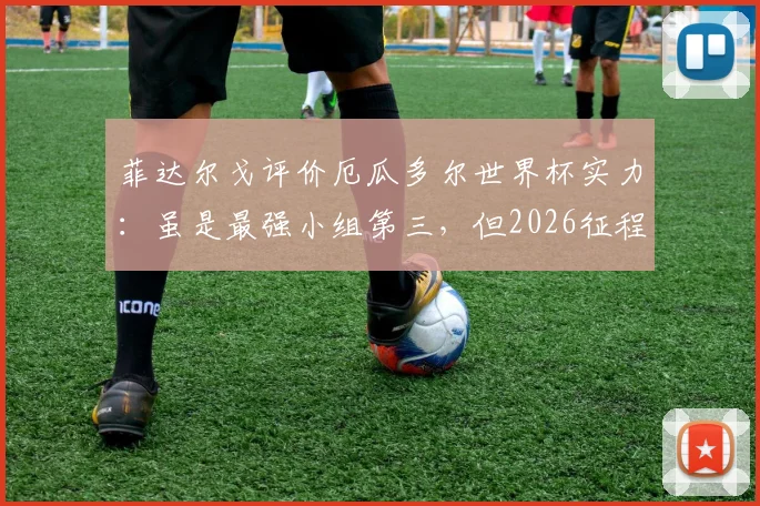 菲达尔戈评价厄瓜多尔世界杯实力：虽是最强小组第三，但2026征程不靠挑对手